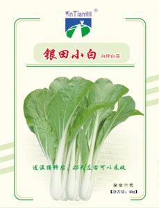 供应银田小白——白菜种子
