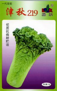 供应津秋219—白菜种子