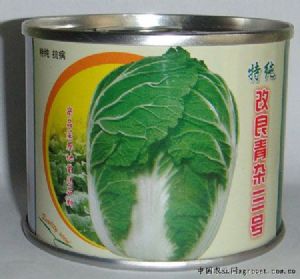 供应改良青杂三号（圆罐）—白菜种子