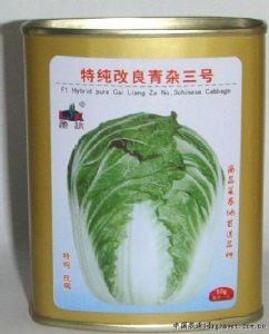供应特纯改良青杂三号(方罐)—白菜种子