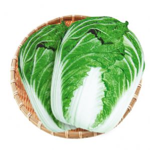 供应改良青杂三号—白菜种子