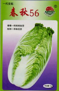 供应春秋56—白菜种子