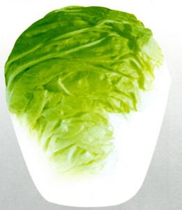 白菜种子——淄白七号