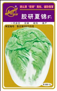 供应胶研夏锦—白菜种子