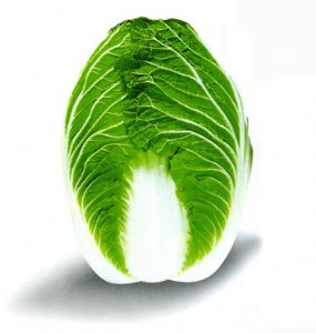 白菜种子——淄春白二号
