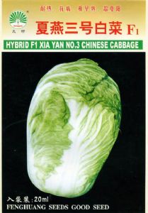 供应夏燕三号白菜F1—白菜种子