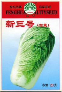 供应新三号白菜—白菜种子