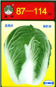 供应五号夏白菜F1—白菜种子