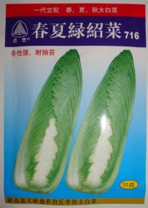供应春夏绿绍菜716—白菜种子