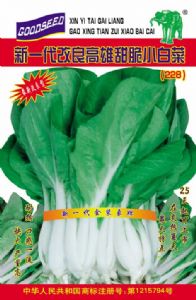供应新一代改良高雄甜脆小白菜(288)—白菜种子