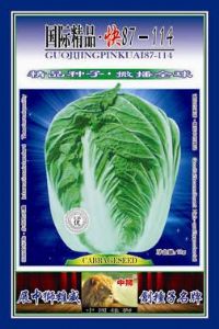 供应快87-114—白菜种子
