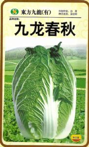 供应九龙春秋－白菜种子