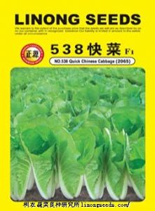 供应正源538快菜（2065）—白菜种子