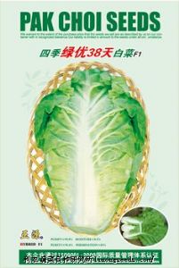 供应【正源】四季绿优38天白菜（485）—白菜种子