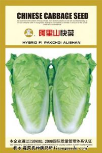 供应【金牌佬农】阿里山快菜（488）—白菜种子