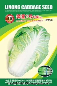 供应【正源】绿星1号白菜F1（2010）种子—白菜种子