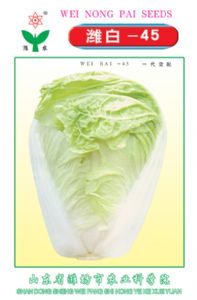 供应潍白45—白菜种子