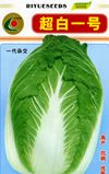 供应超白一号(一代杂交)—白菜种子