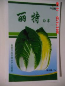 供应丽特白菜