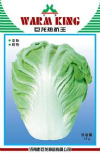 供应巨龙热抗王—白菜种子