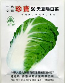 白菜种子——珍宝50天夏阳白菜