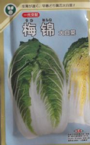 供应梅锦—白菜种子
