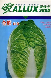 白菜种子——全胜白菜