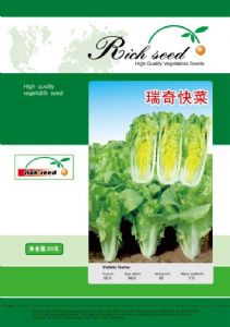 供应瑞奇快菜—白菜种子