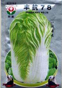 供应丰抗78—白菜种子