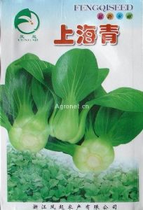 供应上海青（凤起）—白菜种子