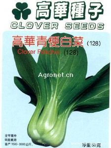 供应高华青梗白菜（128）—白菜种子