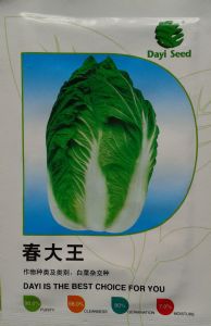 供应春大王-白菜种子