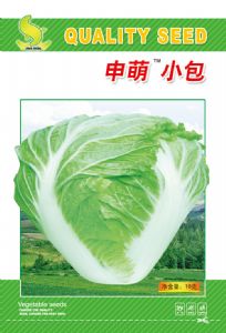 供应申萌小包—白菜种子