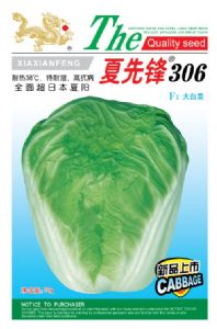 供应夏先锋306F1大白菜—白菜种子