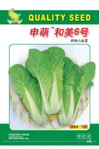 供应申萌和美6号（15g）版--白菜种子