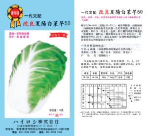 供应夏阳白菜种子