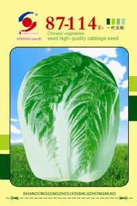 供应87-114F1—白菜种子