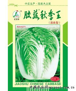 供应胶蔬秋季王—白菜种子