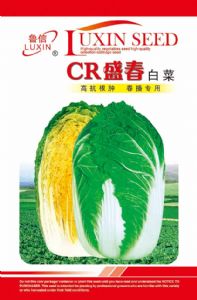 供应CR盛春—白菜种子