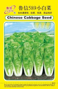 供应CR589—白菜种子