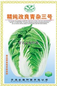 供应精纯改良青杂三号—白菜种子 