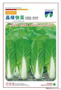 供应晶绿快菜—白菜种子