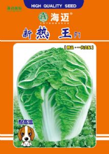 供应新热王—白菜种子