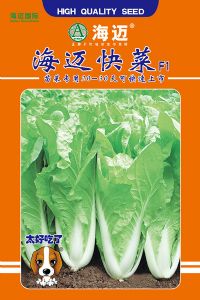 供应海迈快菜—白菜种子
