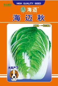 供应海迈秋—白菜种子