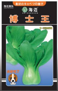 供应博士王—白菜种子