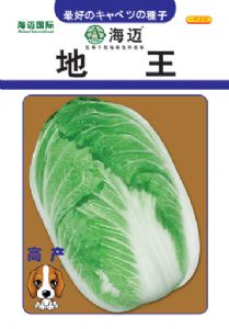 供应地王白菜—白菜种子