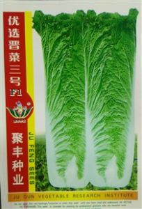 供应白菜种子——晋菜三号三号F1