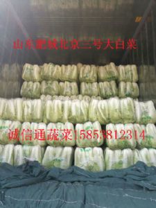 北京新三号大白菜大量供应